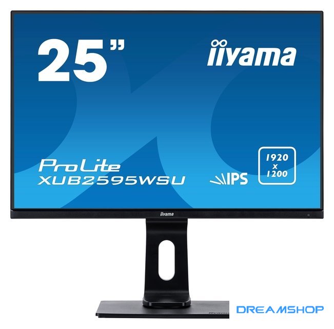 Изображение Монитор Iiyama ProLite XUB2595WSU-B1