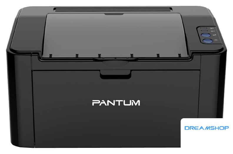 Изображение Принтер Pantum P2207